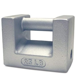 Rice Lake 12833 Cast Iron Painted Grip Handle Test Weight, 25lb Mass, NIST Class F