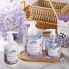 ROMIIE ZOI Liquid Hand Soap with Gift Box - Hydrangea