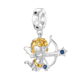 Symretie 925 Sterling Silver Zodiac Sign Bead Charm Fits European Bracelets and Necklaces, Silver