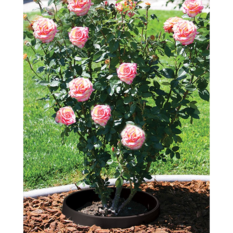 6 Pack of 16 in Planting Rings for Watering Plants