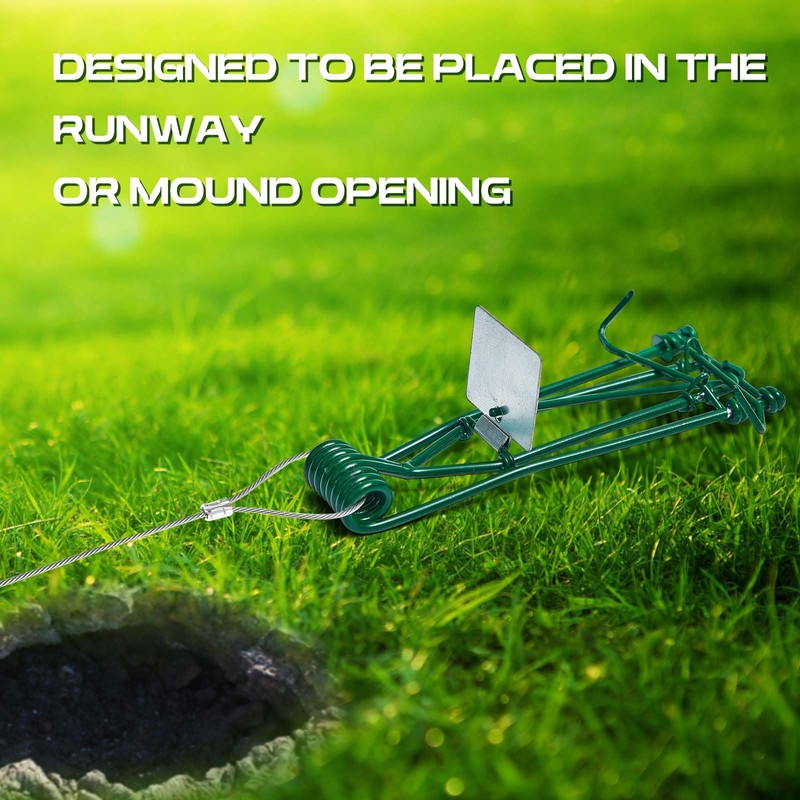 Qualirey 4 Pcs Gopher Trap with Chain Mole Vole Trap