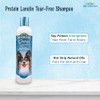 Protein Lanolin Tearless Conc. Shampoo 12oz