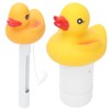 2Pcs Water Thermometer Set High Temperature Resistant Pool Chlorine Dispenser