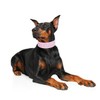 BTDCFY Rhinestones Dog Collars-2" Wide Crystal Diamonds Studded PU Leather