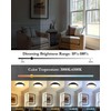 Ken & Ricky Flush Mount Ceiling Light with Remote,Black and