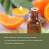Nature Packaged Pure Mandarin Essential Oils - Direct from Citrusmade
