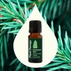 Plant Therapy Christmas Tree Holiday Essential Oil Blend 100% Pure-Undiluted-Natural-Therapeutic