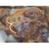 1/4 lb Deer Creek Fire Agate Choice To Mid Grade