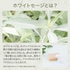 THE EARTH GRACE White Sage Purifying Soap, 3.5 oz (100