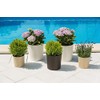 HappyFlower MultiProject Flower Pot, Plant Pot, Planter, Including Insert, Round,