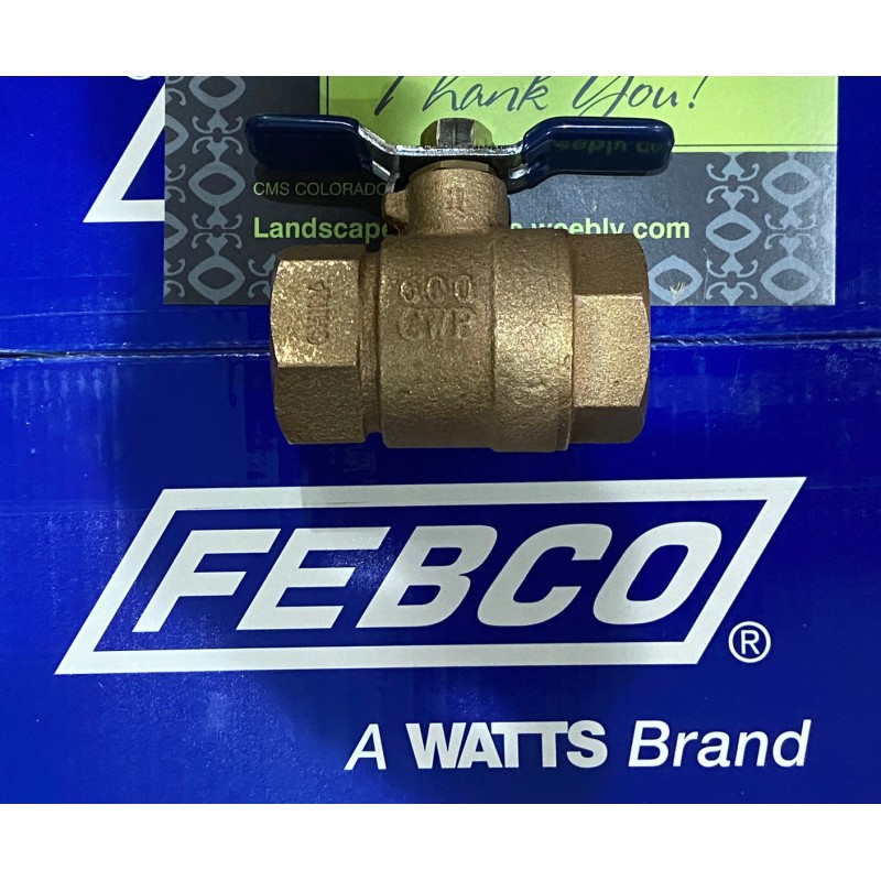 FEBCO Genuine OEM Febco 1” Ball Value For 765-1 -