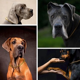 Gold Choke Collar for Small Dogs,Metal Slip Link Dog Choker Collar Training Heavy Duty Male Boys Dog Choker Chain Female Girls Martingale Puppy Collars for XXS XS Small Medium Large Big Breed,S