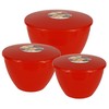 Just Pudding Basins 3 Larger Bowl Sizes and Lids in
