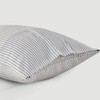 DOZ Pillowcase Set, 100% Viscose derived from Bamboo, Organically Grown,