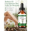 Cyperus Rotundus Oil， Aceite de Cyperus Rotundus Natural，Calma y suaviza