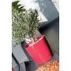 Prosper Plast DUOP240-426U 24 x 22 cm "Coubi" Flowerpot -