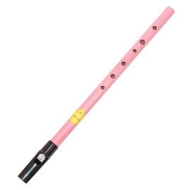 Pink Feadog Brass D Irish Tin Whistle