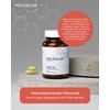MoleQlar Fisetin 100 mg Capsules Pack of 60, Dietary Supplement with
