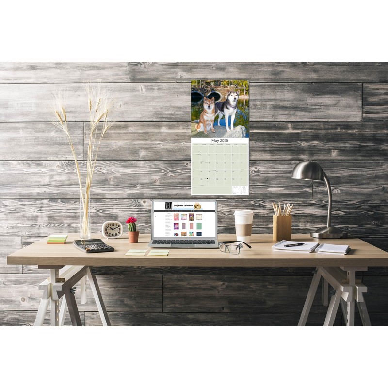 2024 2025 Shiba Inu Calendar - Dog Breed Monthly Wall