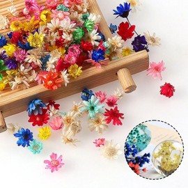 300pcs Dried Flowers Pressed Flowers Mini Small Flowers Multicolor Resin DIY Handmade Material Rich Color Decor Material Craft Nail Pendant
