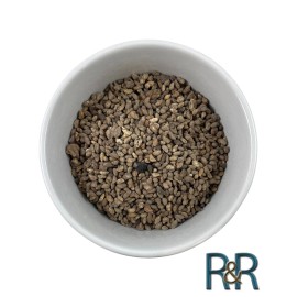 Voacanga Organic Voacanga Africana Seeds Ghana Alkaloid USA Fresh Remedy - 50g
