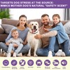 Flyjobs Dog Pheromone Calming Diffuser for Dogs, 4×48ml Refills &