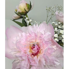 Double Row Cross Ring Cubic Zirconia 925 Sterling Silver Adjustable, Silver