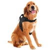 MASCRETTA Arnés Pechera Deportiva Reflectante para Perro Talla Grande