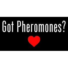 Women's - Pheromone 4X Trial Size Three Pack