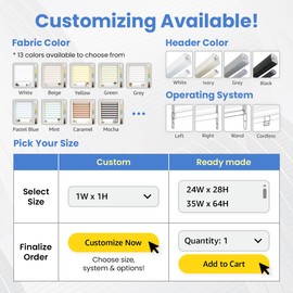 Foiresoft Standard Zebra Roller Blinds for Windows [W42 x H64 Inch, White, Basic], Light Filtering Dual Layer Shades for Bedroom, Living Room, Office, 13 Colors