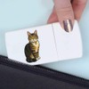 'Sitting Tabby Cat' Pill Box with Tablet Splitter (PI00034558)