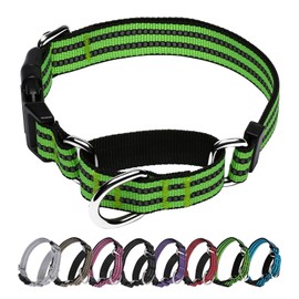 JOYEEIIOO Martingale Dog Collar, Adjustable Nylon Reflective Collar with Buckle No Pull Dog Collar for Small Medium Large Dogs (Lime Green Large)