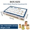 Vifmy Metric & SAE Rivet Nut Assortment Kit(920 Pcs), M3