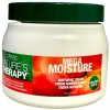 L'Oréal L'OREAL NATURE'S THERAPY MEGA MOISTURE NURTURING HAIR CREME CREAM