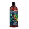 The Botanist Shampoo Estimulante Cool Mint 591ml