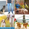 Heavy Duty Dog Leash - 2 Handles by Padded Traffic