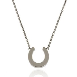 The Jewelry Source New Stainless Steel Womens Horseshoe Necklace, Statement Pendants for Women (Stainless Steel Womens Horseshoe Pendant)
