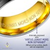 Willis Judd MasonicMan Mens Titanium Freemason Masonic Ring Latin Engraving