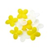Sun Herbs Happy Petit Gift Grapefruit (15g Hand Cream, 1