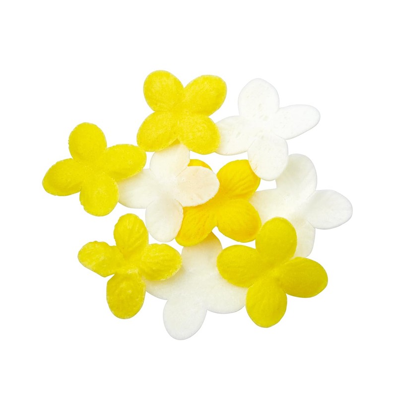 Sun Herbs Happy Petit Gift Grapefruit (15g Hand Cream, 1