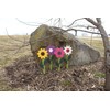 AmishToyBox.com Decorative Flower Stake for Outdoor Décor, Amish-Made with Poly