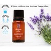 OLEUM VITAE Aceite Esencial de Lavanda. Lavandula Angustifolia. 100% Puro