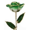 24k Gold Rose - Real Rose Dipped in Gold (2-Tone
