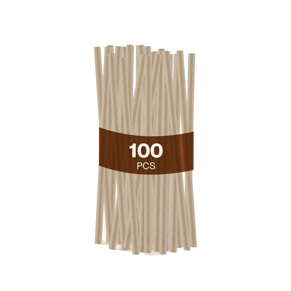 Gracz Compostable Straws - 197 MM Disposable Paper Straws for