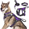 WINSEE PET-MG3PURPLE-XL