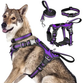 WINSEE PET-MG3PURPLE-XL