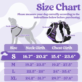 rabbitgoo Dog Harness Small Sized, No Pull Pet Harness with 3 Buckles, Adjustable Soft Padded Vest with Control Handle, Walking Reflective Pet Vest for Small Dogs, Purple, S