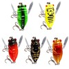Taicols Cicada Fishing Lure, 5 Fishing Cicada Bait, Lifelike 3D