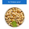 Palouse Brand Certified Glyphosate Residue Free Chickpeas | Garbanzo Beans