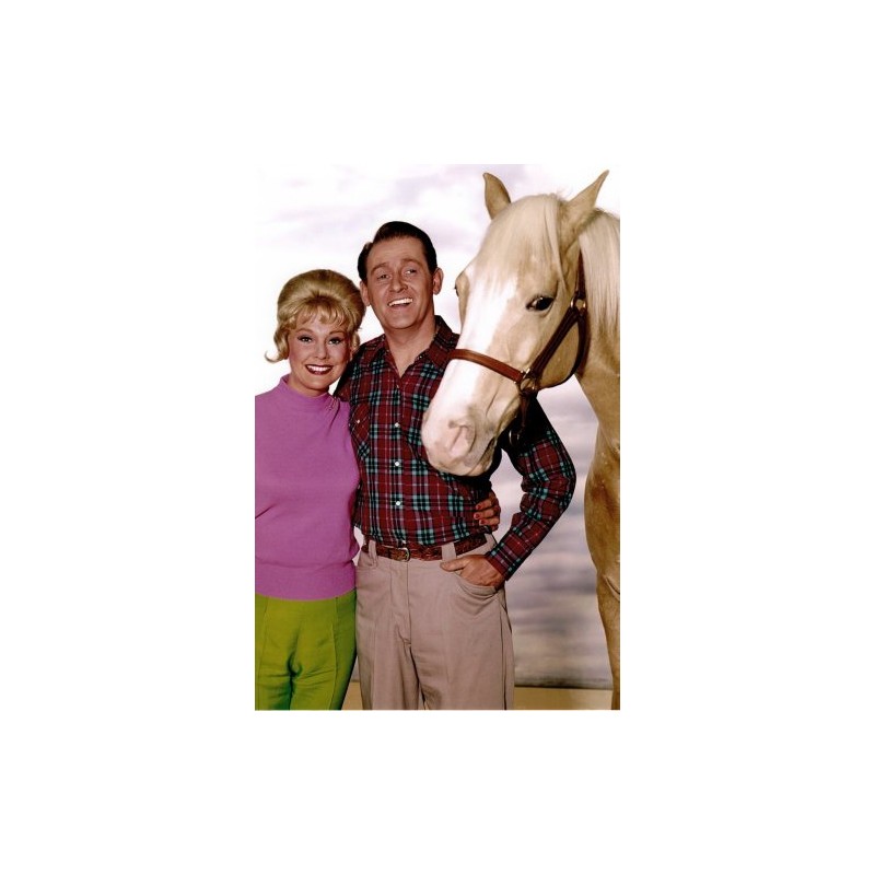 Mr. Ed Poster 24Inx36In #01